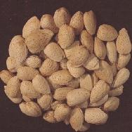 Organic Almonds, In the Shell: 1/2 Pound